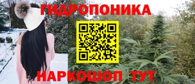 гашик Усть-Илимск
