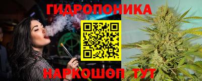 гашик Усть-Илимск