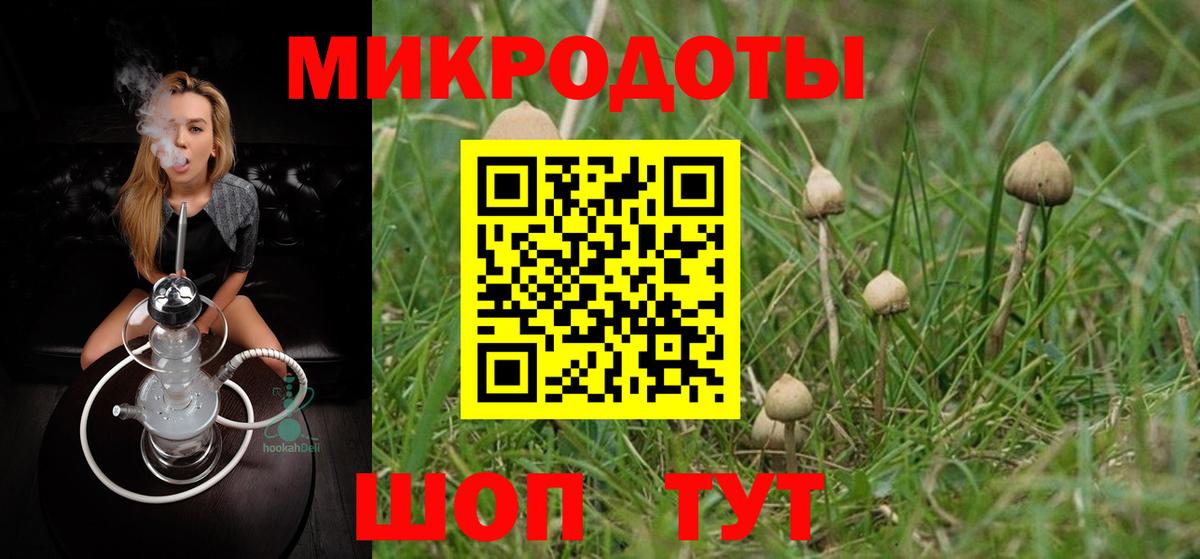 Псилоцибиновые грибы Psilocybe  Вход с VPN  Михайловск 