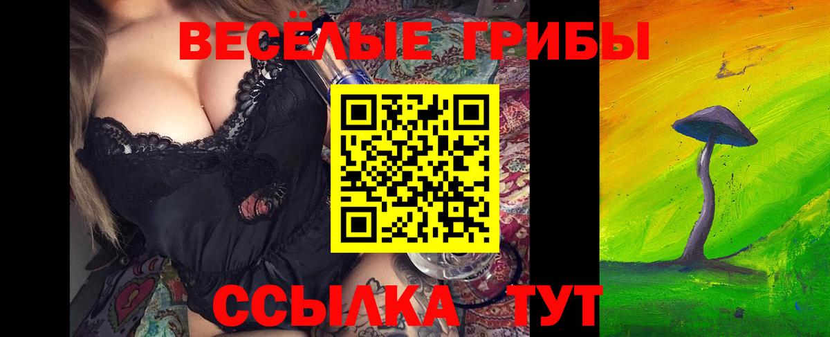 Галлюциногенные грибы Psilocybe Михайловск
